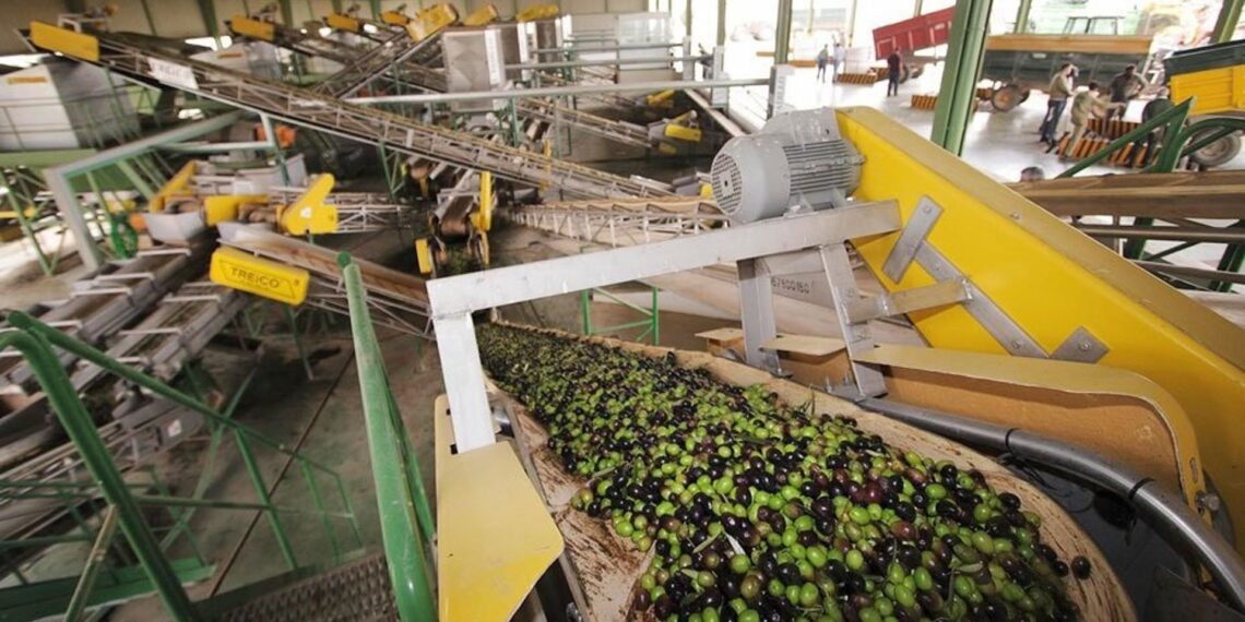 Andalucía, líder en exportaciones de aceite de oliva, supera por primera vez los 2.000 millones en ventas