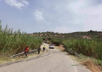 La Diputación invierte 541.000 euros en el desbroce y la limpieza de márgenes de las carreteras provinciales