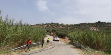 La Diputación invierte 541.000 euros en el desbroce y la limpieza de márgenes de las carreteras provinciales