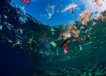 Científicos logran producir grafeno a partir de microplásticos reciclados