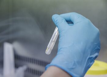 Sanidad reúne este martes a las comunidades para analizar la emergencia sanitaria de la viruela del mono