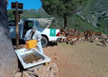 La Junta inicia los tramites para adjudicar una nueva concesión de la Eco Reserva de Ojén