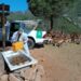 La Junta inicia los tramites para adjudicar una nueva concesión de la Eco Reserva de Ojén
