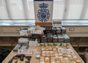 Desmantelan una red que introducía cocaína en cajas de fruta a través del Puerto de Málaga