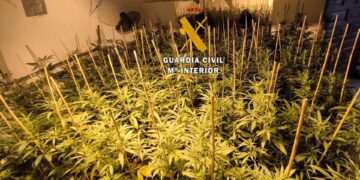 Tres detenidos tras desmantelar plantaciones de marihuana indoor en la comarca del Valle del Gualhorce