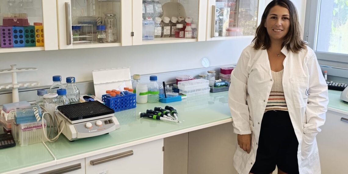 Investigadores descubren mecanismos implicados en la regeneración de arterias coronarias tras sufrir un infarto