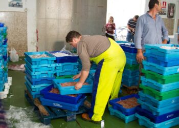 Las lonjas malagueñas comercializan más de 3.000 toneladas de productos frescos el primer semestre de 2024