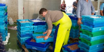 Las lonjas malagueñas comercializan más de 3.000 toneladas de productos frescos el primer semestre de 2024