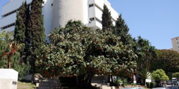 Prisión para el patrón del barco detenido involucrado en un accidente mortal con una moto acuática