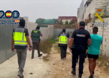 Detenida una importante organización narco con tentáculos en San Pedro Alcántara