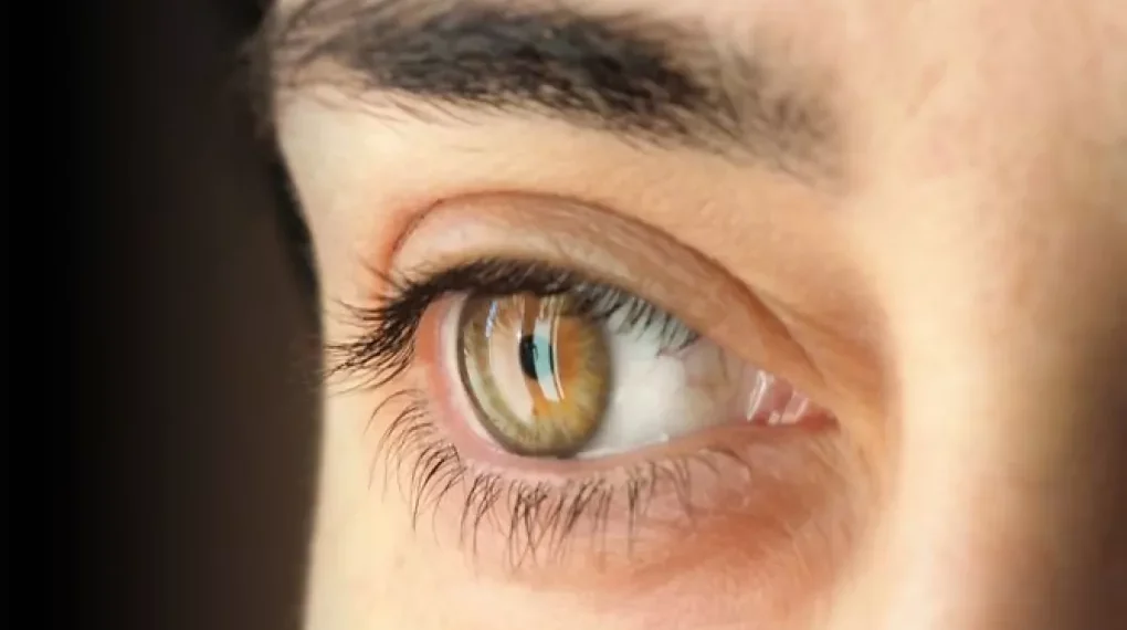 Pacientes con una enfermedad hereditaria recuperan gran parte de visión gracias a un ensayo de terapia génica