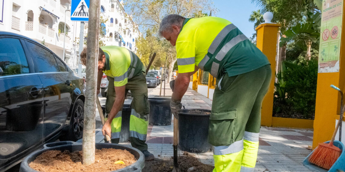 San Pedro inicia un plan para la renovación del arbolado con la plantación de 120 ejemplares
