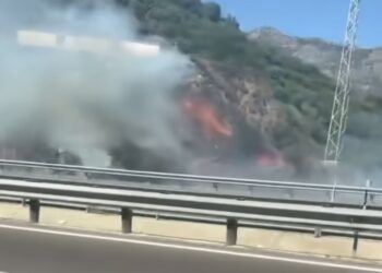 Incendio de cuneta en la intersección de la AP-7 y la A-7 en el término municipal de Mijas