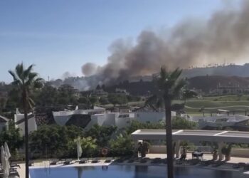 Declarado un incendio forestal en Benahavís