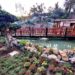Torremolinos reabre el jardín zen del Molino de Inca tras acometer una reforma integral del espacio