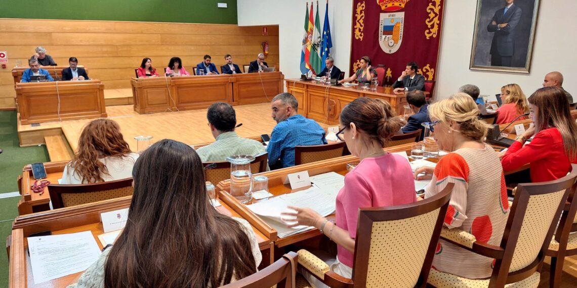 Torremolinos acuerda en pleno una moción en apoyo a las personas que padecen Enfermedad Inflamatoria Intestinal