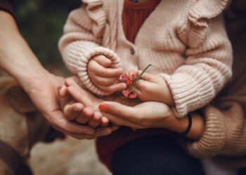 Un total de 178 familias en riesgo de exclusión social recibirán ayudas de la Diputación de Málaga