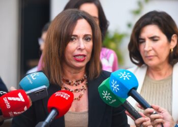 La Junta achaca a la Ley de vivienda del Gobierno que haya «favorecido y protegido la ocupación ilegal»