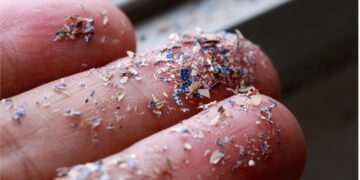 El CSIC desarrolla un método para extraer y degradar microplásticos