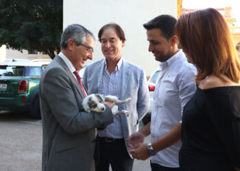 Diputación activa un plan pionero en Andalucía para que personas mayores adopten mascotas y mejoren su bienestar físico y emocional