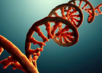 Un algoritmo predice cientos de nuevos genes que provocan cáncer y abre puertas para tratamientos