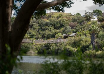 Los zoos de Selwo y Teleférico de Benalmádena abren el plazo de inscripción para visitas para centros educativos