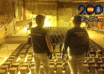 Desarticulada una organización criminal dedicada a la fabricación de embarcaciones tipo EAV y a la distribución de estupefacientes