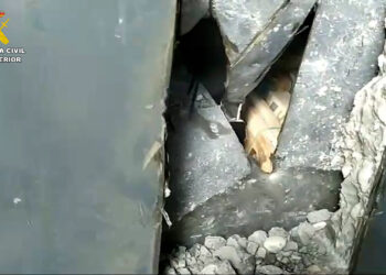 Desarticulada una organización criminal dedicada al narcotráfico que vendía 180 kilos de cocaína al año en Galicia