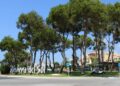 Detienen en Mijas un individuo que conducía a alta velocidad una moto sin carnet de circulación