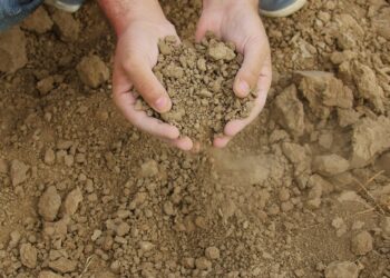 La Junta aprobará una línea de ayudas para las explotaciones afectadas por sequía extrema