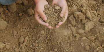 La Junta aprobará una línea de ayudas para las explotaciones afectadas por sequía extrema