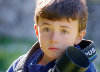 De las aceitunas se aprovecha todo: hueso para hacer combustible