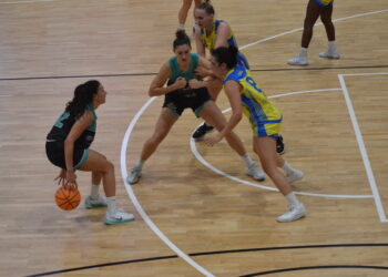 El CAB Estepona Jardín de la Costa del Sol se hace fuerte en el Pineda con un 63-54