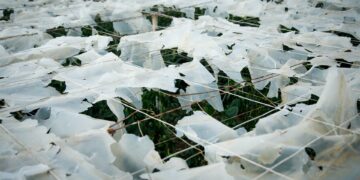 La Junta evalúa ya daños «provincia a provincia» y garantiza «ayudas urgentes» para atender emergencias