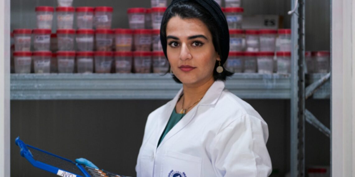 Una joven científica de la UMA logra el premio al mejor doctorado del mundo sobre materiales cementosos