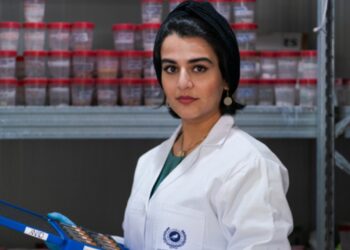 Una joven científica de la UMA logra el premio al mejor doctorado del mundo sobre materiales cementosos