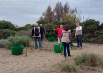 Hidralia se une al Voluntariado de ProDunas Marbella por la conservación dunar