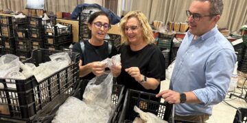 Fuengirola tendrá un Centro de Visitantes Arqueológico para poner en valor su legado histórico