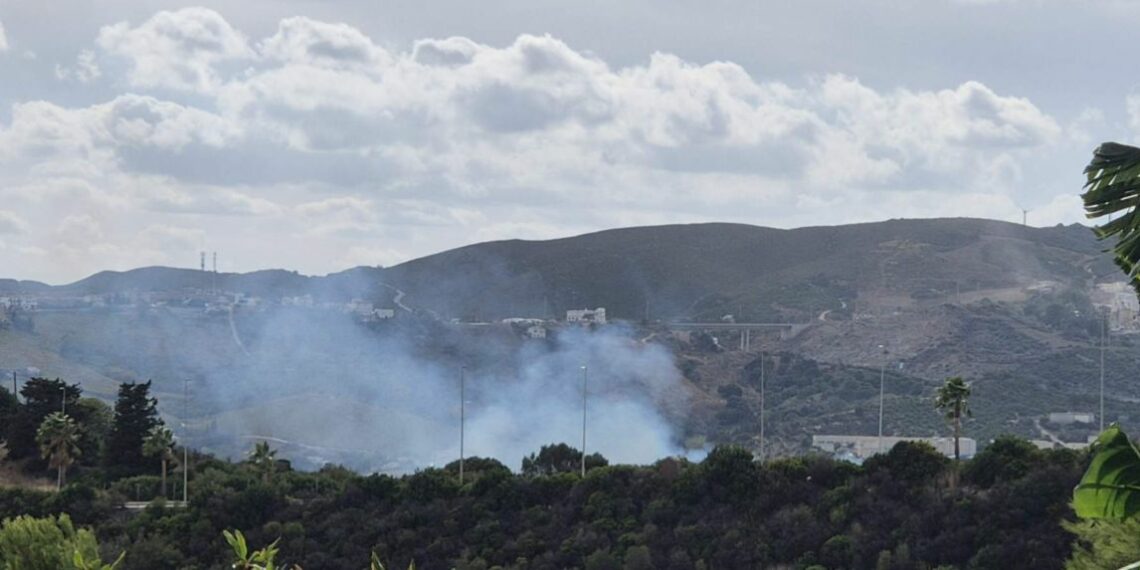El Plan Infoca da por estabilizado el incendio forestal en Manilva