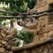 Bioparc Fuengirola presenta a Reina y Flo, la nueva pareja de perezosos que habita en su selva tropical