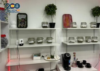 Desmantelan dos clubes de fumadores de cannabis desde donde se distribuían drogas en Marbella