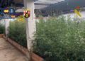 Doce detenidos por exportar gran cantidad de anfetaminas, hachís y marihuana desde Málaga a Alemania