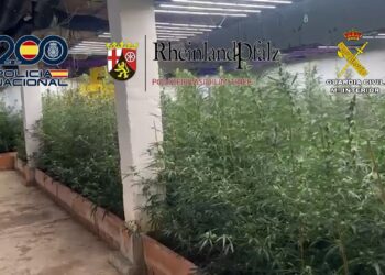 Doce detenidos por exportar gran cantidad de anfetaminas, hachís y marihuana desde Málaga a Alemania