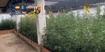 Doce detenidos por exportar gran cantidad de anfetaminas, hachís y marihuana desde Málaga a Alemania