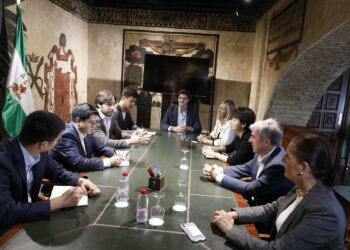 El Ayuntamiento de Marbella mantiene encuentro con empresarios y emprendedores de la ciudad china de Hefei