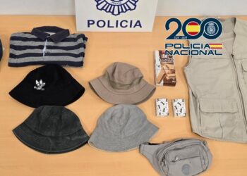 Detenido por robar a turistas a los que se ofrecía para limpiar un supuesto excremento de ave