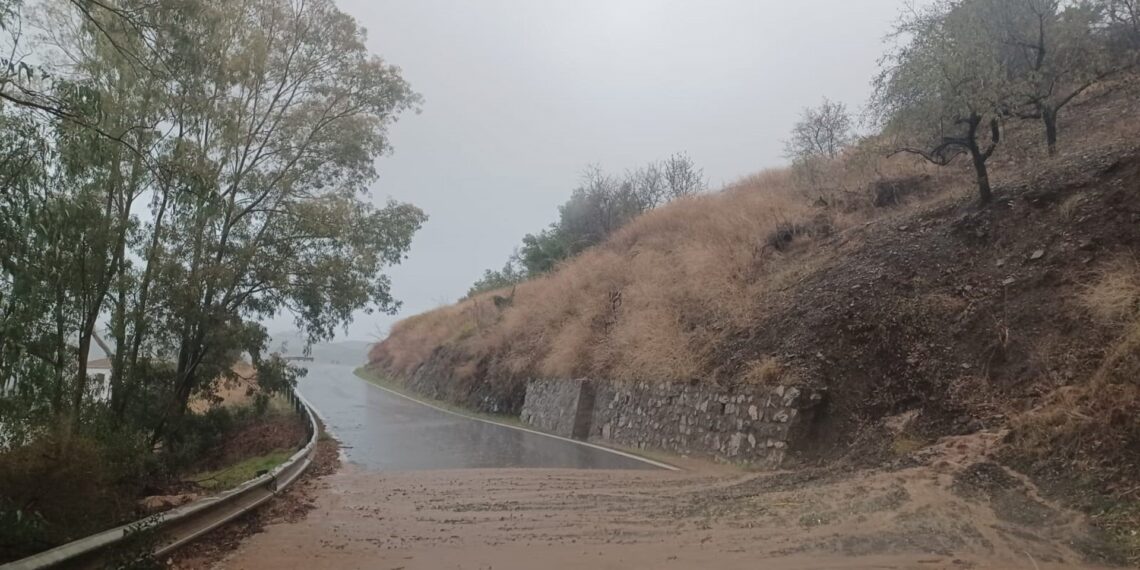 Málaga supera las 400 incidencias por el temporal, tras las registradas la pasada noche