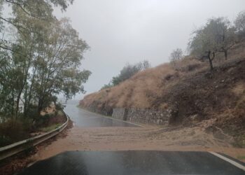 Málaga supera las 400 incidencias por el temporal, tras las registradas la pasada noche