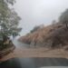 Málaga supera las 400 incidencias por el temporal, tras las registradas la pasada noche