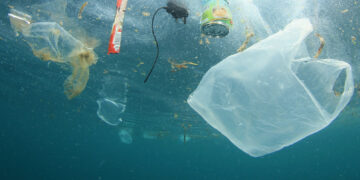 Un equipo de científicos crea un nuevo tipo de plástico que se descompone en el agua del mar